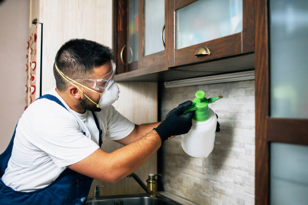 Best Pest Inspection Near Me  in Spanish Lake, MO