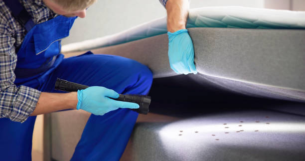 Best Pest Removal Services  in Spanish Lake, MO